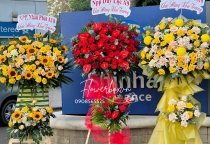 Mừng khai trương nên tặng hoa gì? +99 Mẫu hoa khai trương đẹp nhất 2025 Mừng khai trương nên tặng hoa gì? +99 Mẫu hoa khai trương đẹp nhất 2025