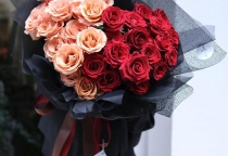 Chính sách người dùng