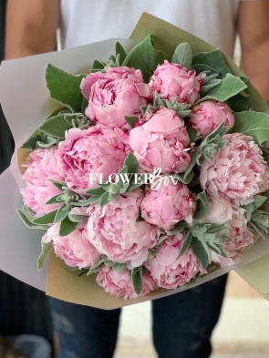 HB021 - HOA MẪU ĐƠN NHẬP KHẨU