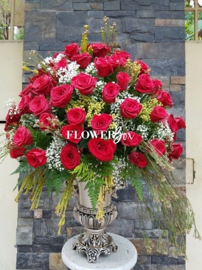 BC040 - HỒNG NHẬP ECUADOR 