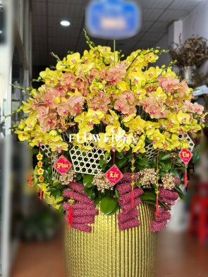 HD016 - Chậu hồ điệp 45 cành