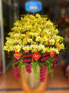 HD019 - Chậu hồ điệp 45 cành