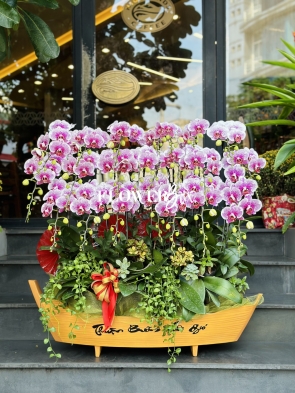 HD054 - Thuyền hoa 20 cành