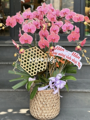 HD030 - Chậu hồ điệp 6 cành