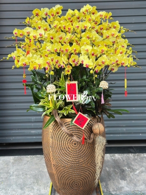 HD041 - Chậu hồ điệp 45 cành