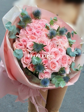 HB042 - HỒNG OHARA