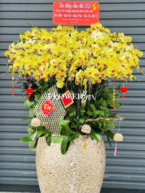 HD051 - Chậu HD Khảm Trai  45 cành