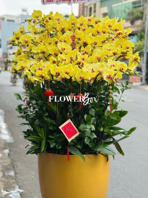 HD052 - Chậu HD  Composite 35 cành