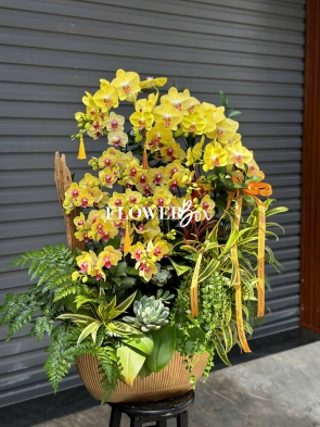 HD044 - Chậu HD tiểu cảnh