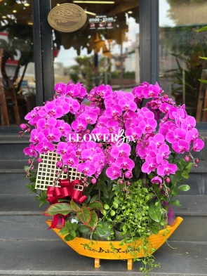 HD047 - Chậu hồ điệp Tiểu Cảnh