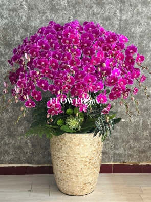 HD055 - Chậu Khảm Trai 43 cành