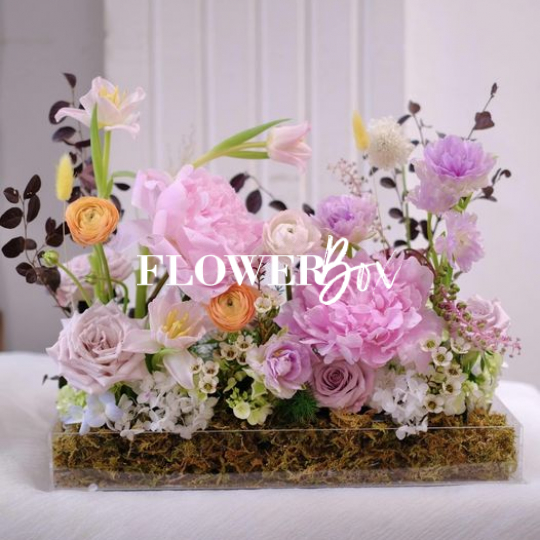 MC001 - Hoa tulip và mẫu đơn NK