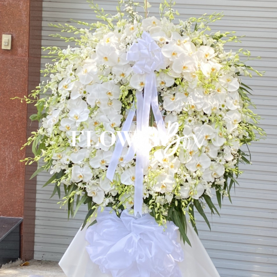 CB061-Vòng size lớn Full