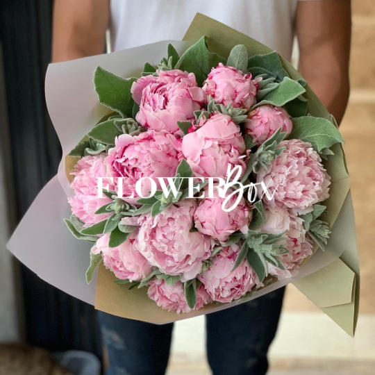 HB021 - HOA MẪU ĐƠN NHẬP KHẨU