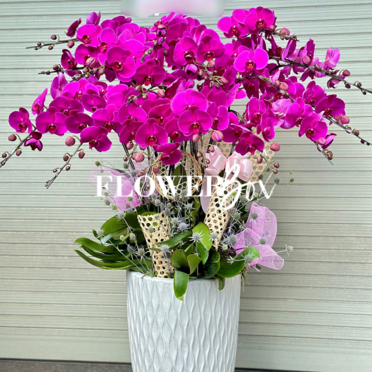 HD001 - Chậu HD 17 Cành