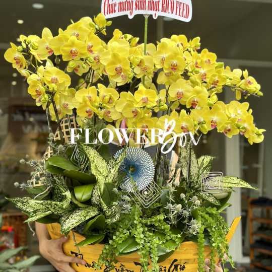 HD013 - Thuyền hoa 15 cành