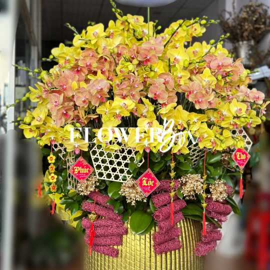 HD016 - Chậu hồ điệp 45 cành