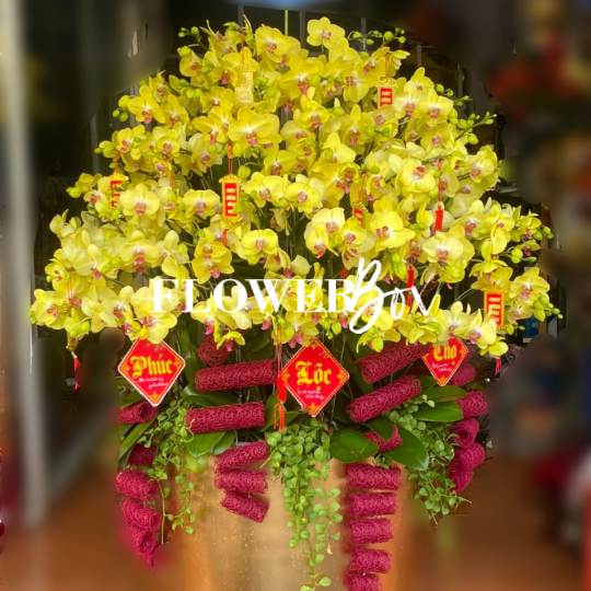 HD019 - Chậu hồ điệp 45 cành