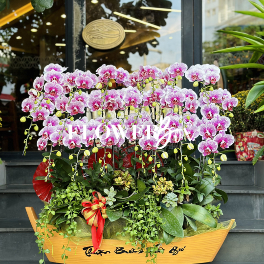 HD054 - Thuyền hoa 20 cành