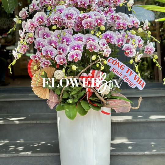 HD026 - Chậu hồ điệp 15 cành