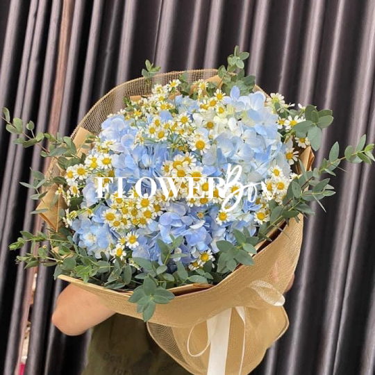 HB034 - CẨU TÚ CẦU NK