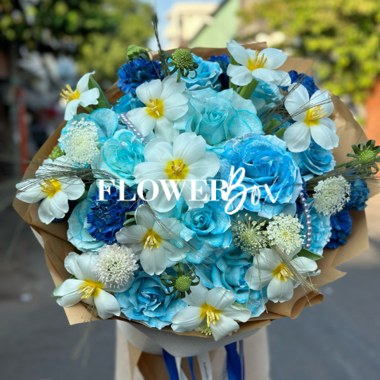 HB037 - TULIP VÀ HỒNG NK