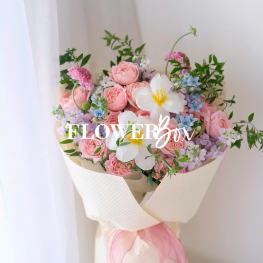 HB054 - BÓ HỒNG NK