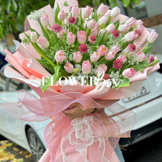 HB062 - TULIP NHẬP KHẨU