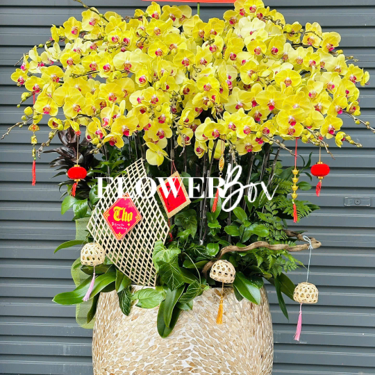 HD051 - Chậu HD Khảm Trai  45 cành