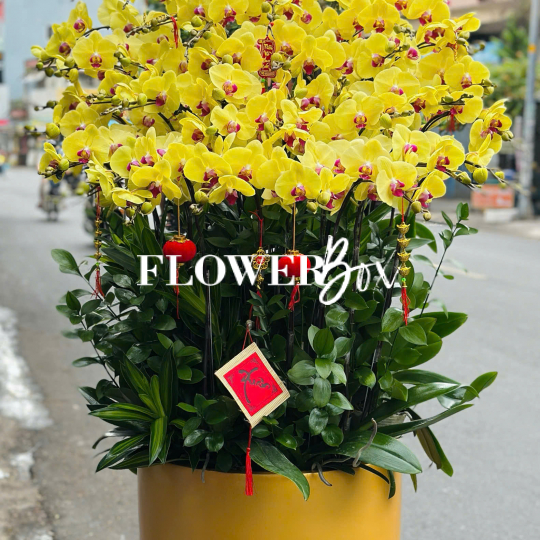 HD052 - Chậu HD  Composite 35 cành