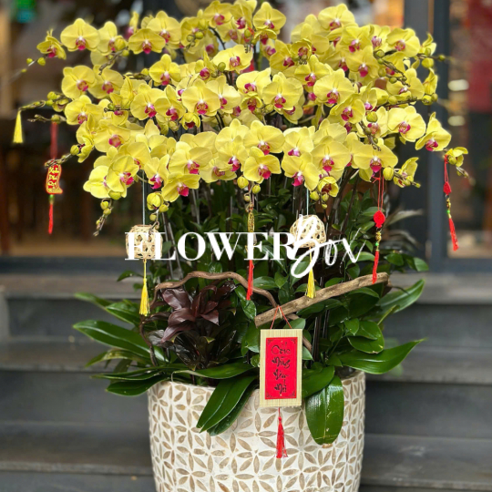HD050 - Chậu HD Khảm Trai 26 cành