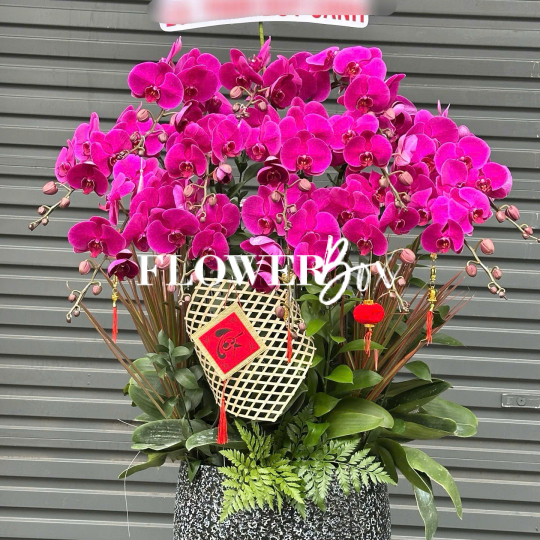HD053 - Chậu hồ điệp 15 cành