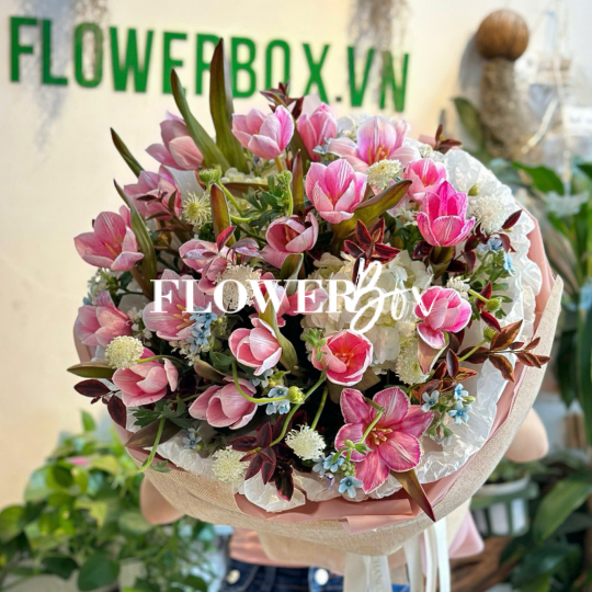 HB065 - TULIP NHUỘM