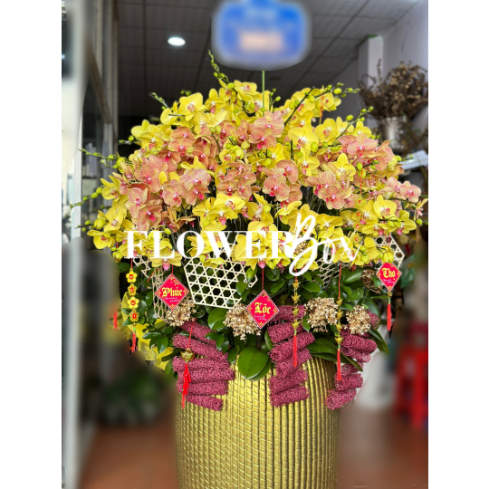 HD016 - Chậu hồ điệp 45 cành