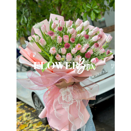 HB062 - TULIP NHẬP KHẨU