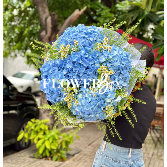HB067 - CẨM TÚ CẦU NK