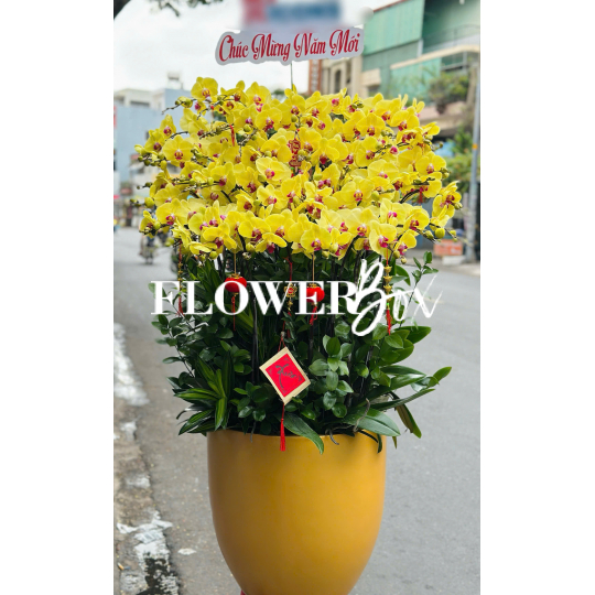 HD052 - Chậu HD  Composite 35 cành