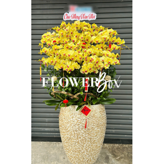 HD051 - Chậu HD Khảm Trai  45 cành