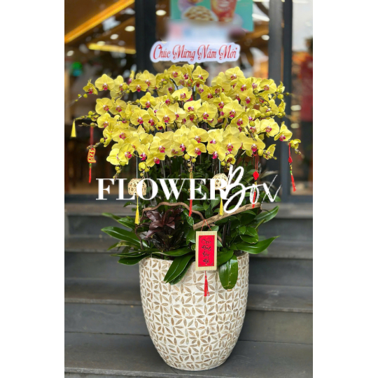 HD050 - Chậu HD Khảm Trai 26 cành