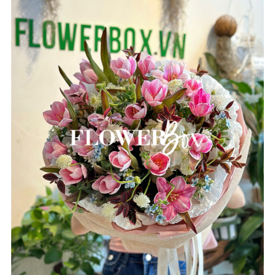 HB065 - TULIP NHUỘM